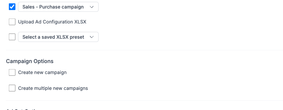 Campaign and ad set options showing checkboxes for creating new campaigns and ad sets