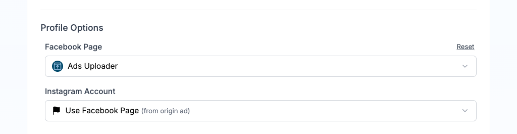 Profile Options showing Facebook Page and Instagram Account selectors