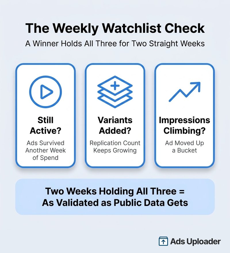 Weekly watchlist checks for winning products: still active, variants added, and impressions climbing across two weeks
